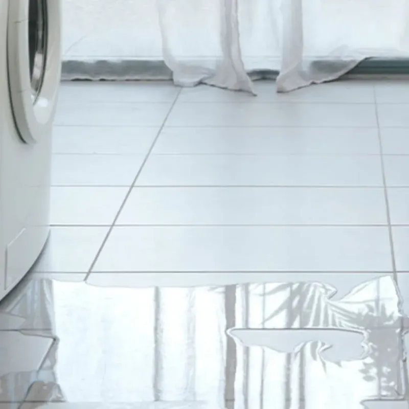 Appliance Leak Cleanup in Danbury, NC