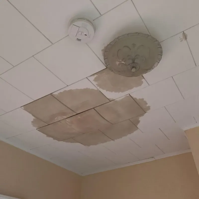 Ceiling Water Damage Repair in Danbury, NC