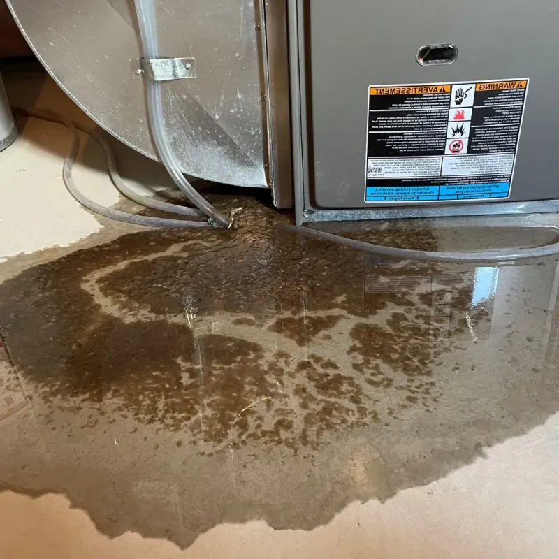 Pipe Burst and Leak Restoration in Danbury, NC