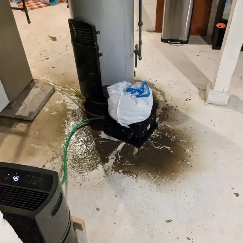 Sewage Backup Cleanup Service in Danbury, NC